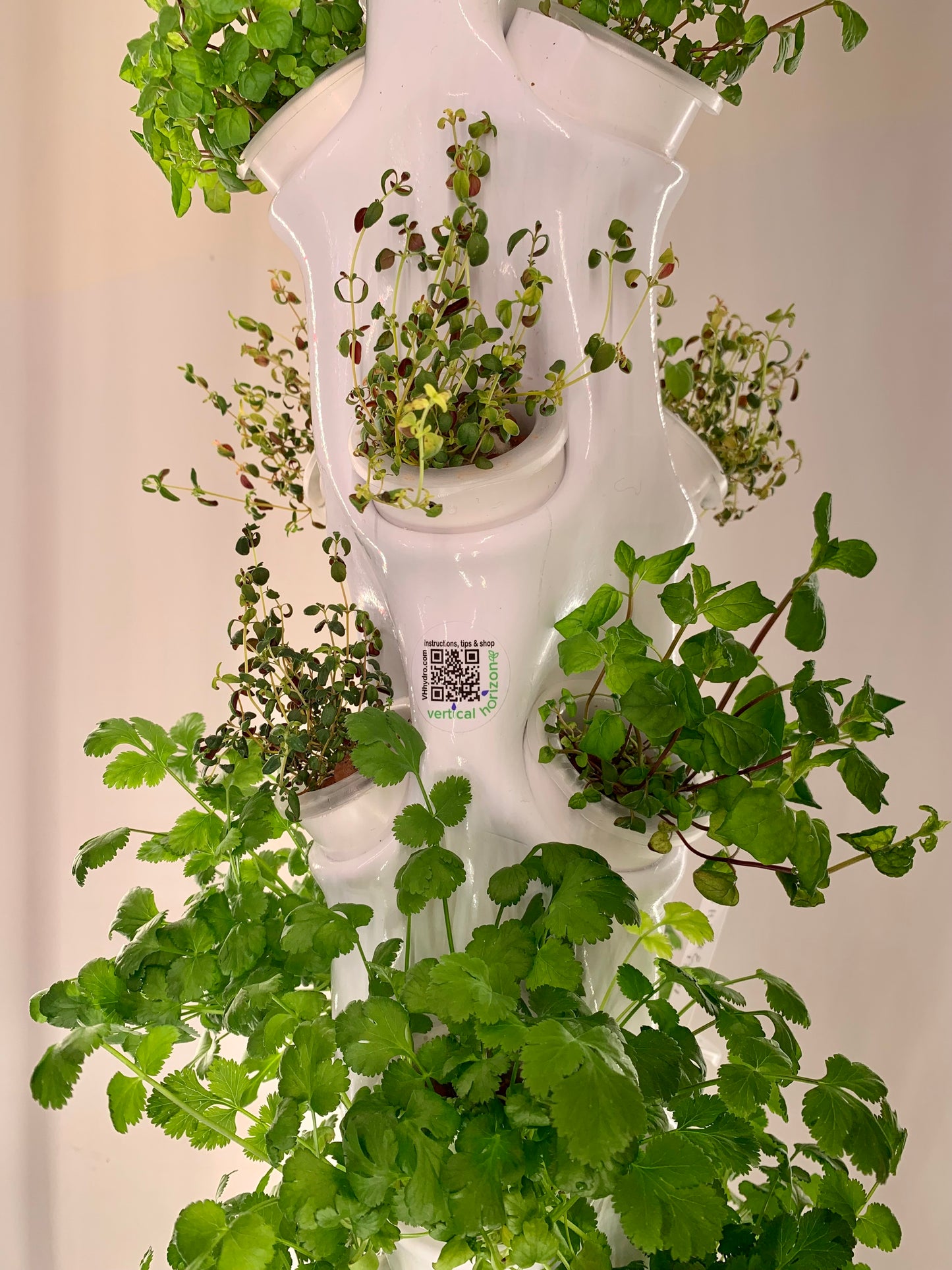 Vertical Hydroponic Tower Self-Watering Growing System (for 42 plants, choice of colours)